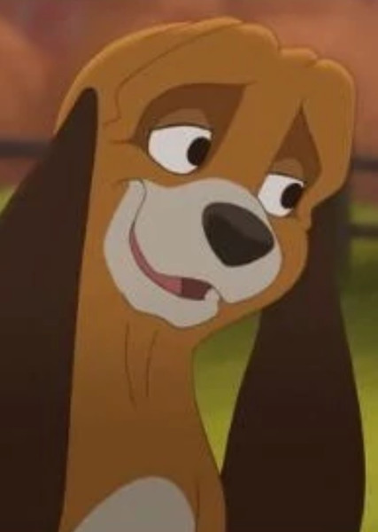 Copper (The Fox and the Hound) photo