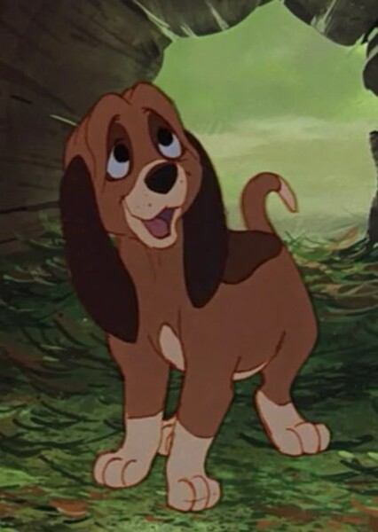 Copper (The Fox and the Hound) photo