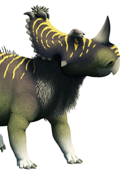 Coronosaurus photo