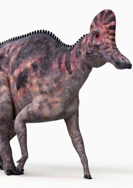 Corythosaurus photo