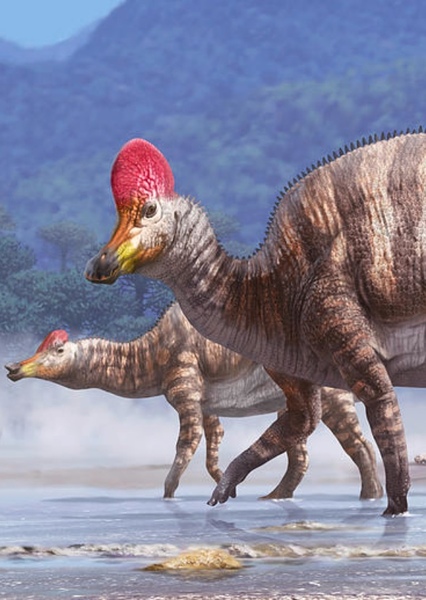 Corythosaurus photo