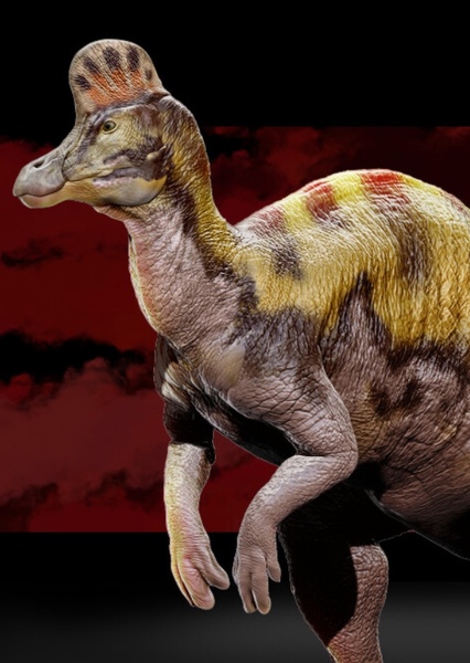 Corythosaurus photo
