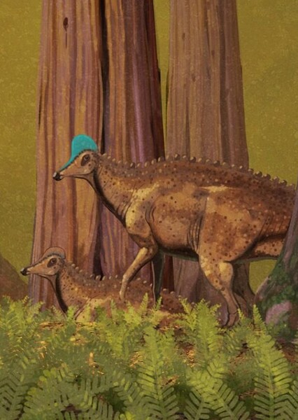 Corythosaurus photo