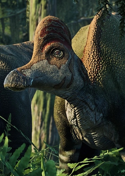 Corythosaurus photo