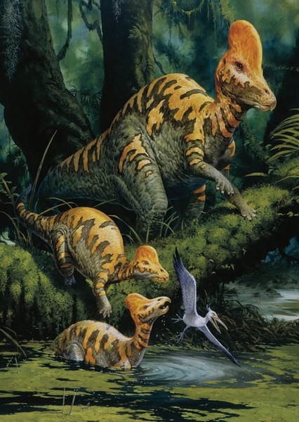 Corythosaurus photo