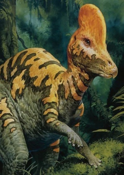 Corythosaurus photo