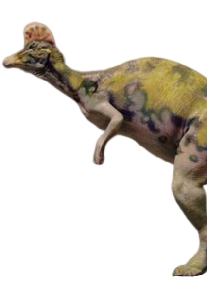 Corythosaurus photo
