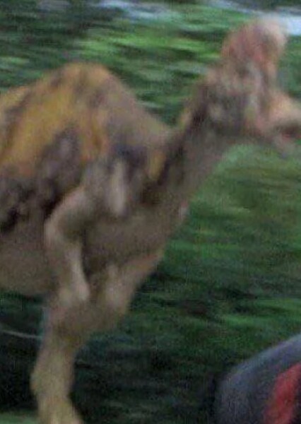 Corythosaurus (Jurassic Park 3)