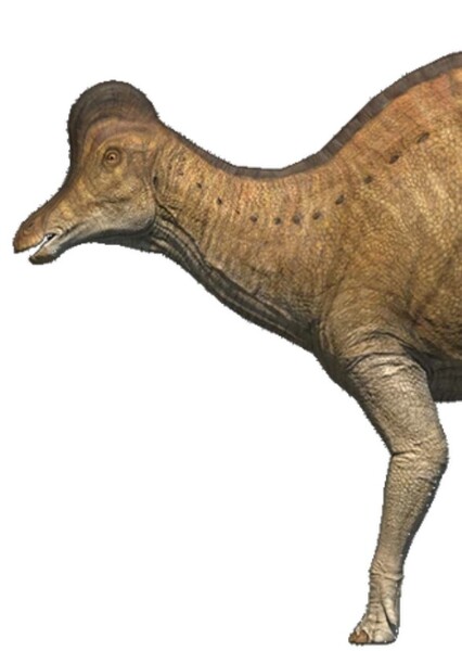 Corythosaurus (The Isle)