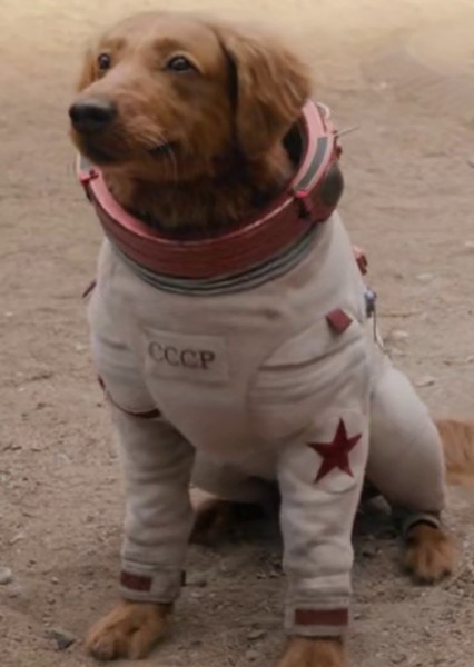 Cosmo the Spacedog (Marvel Cinematic Universe) photo