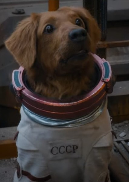 Cosmo the Spacedog (Marvel Cinematic Universe) photo