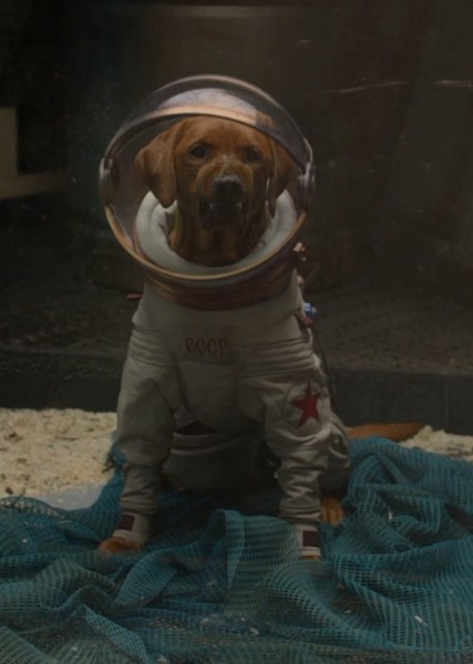 Cosmo the Spacedog (Marvel Cinematic Universe) photo