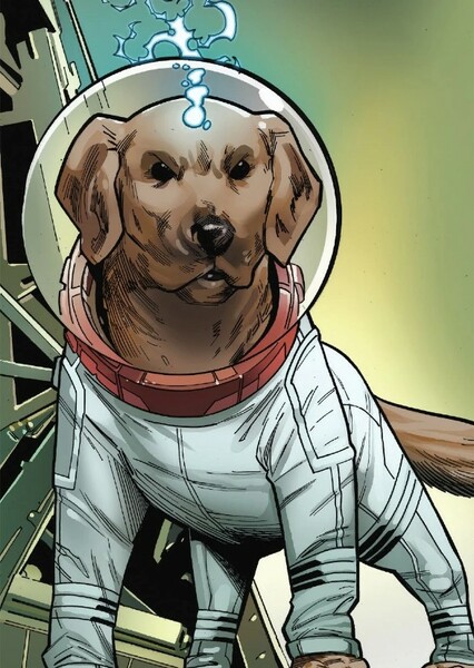 Cosmo the Spacedog photo
