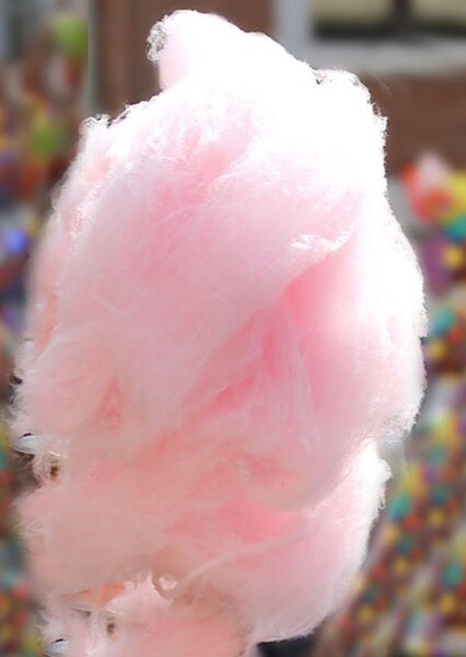 Cotton Candy photo