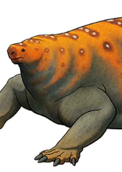 Cotylorhynchus