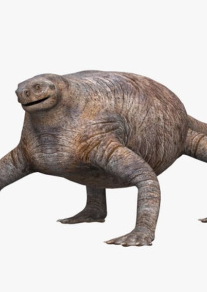 Cotylorhynchus photo