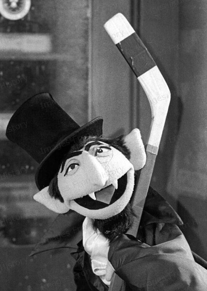 Count von Count photo