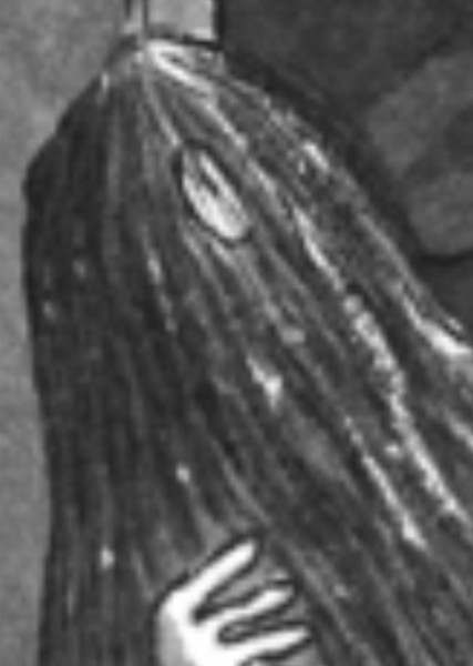 Cousin Itt photo