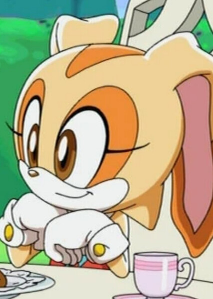 Cream the Rabbit (Sonic X) photo