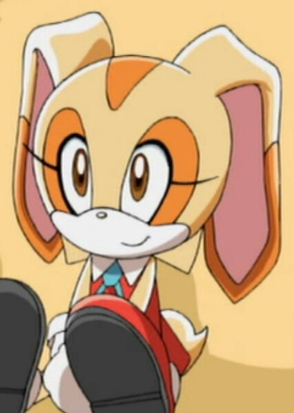 Cream the Rabbit (Sonic X) photo