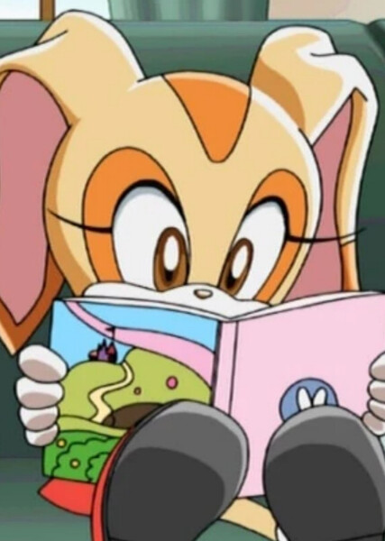 Cream the Rabbit (Sonic X) photo