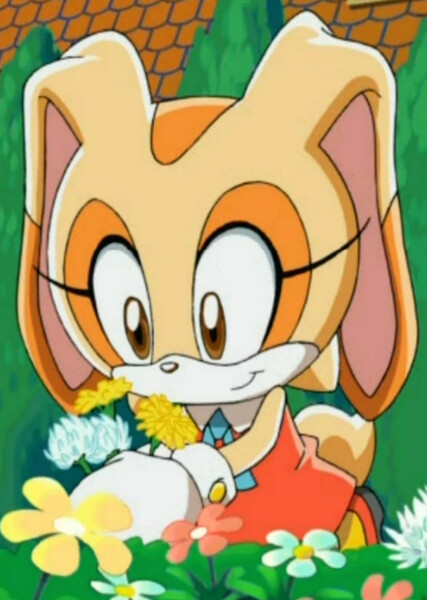 Cream the Rabbit (Sonic X) photo