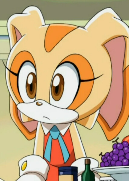 Cream the Rabbit (Sonic X) photo