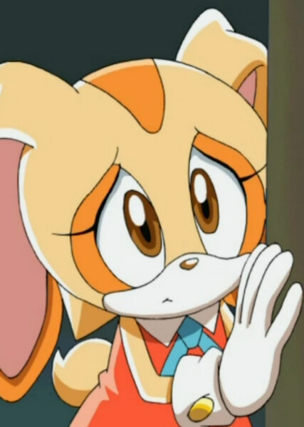 Cream the Rabbit (Sonic X) photo