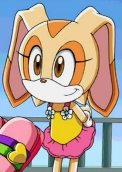 Cream the Rabbit (Sonic X) photo