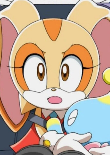 Cream the Rabbit (Sonic X) photo