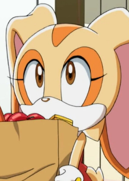 Cream the Rabbit (Sonic X) photo