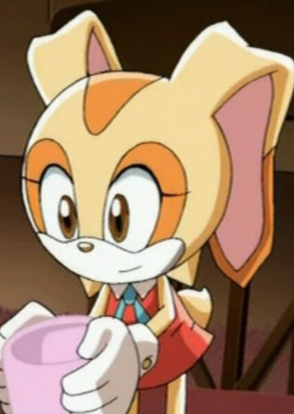 Cream the Rabbit (Sonic X) photo