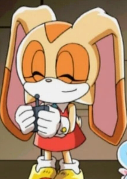 Cream the Rabbit (Sonic X) photo
