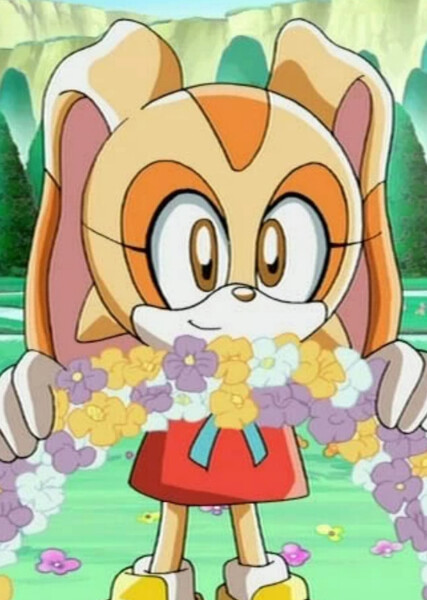 Cream the Rabbit (Sonic X) photo