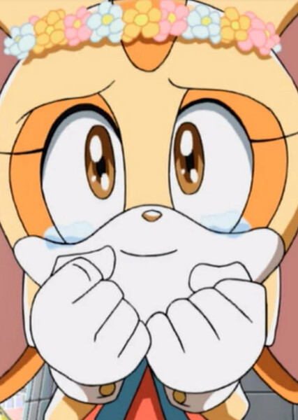 Cream the Rabbit (Sonic X) photo