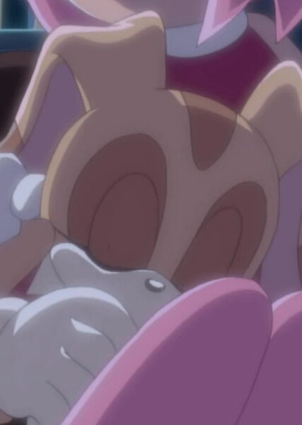 Cream the Rabbit (Sonic X) photo