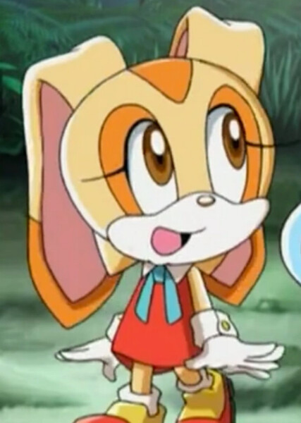 Cream the Rabbit (Sonic X) photo