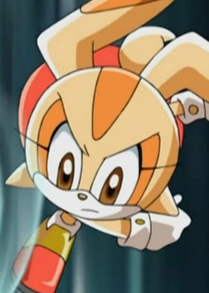 Cream the Rabbit (Sonic X) photo
