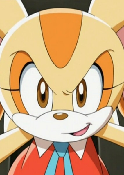 Cream the Rabbit (Sonic X) photo