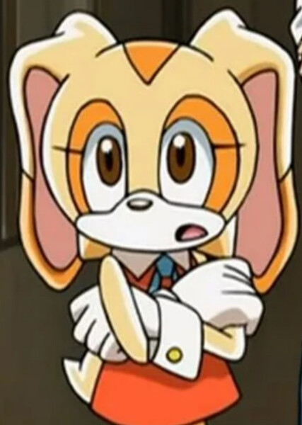 Cream the Rabbit (Sonic X) photo