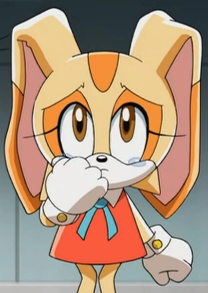Cream the Rabbit (Sonic X) photo
