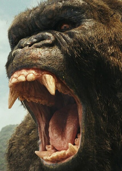 Creature Voice Effects