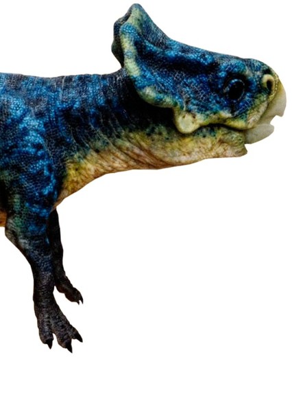 Creature Voice Effects photo