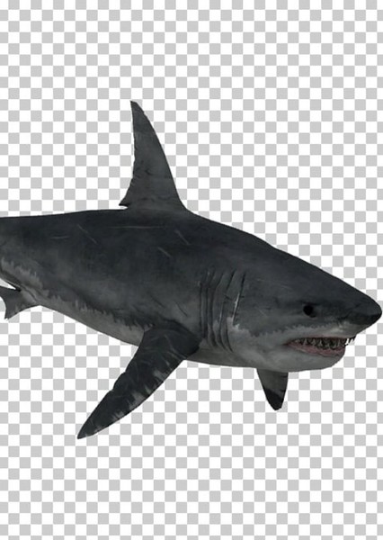 Creature Voice Effects