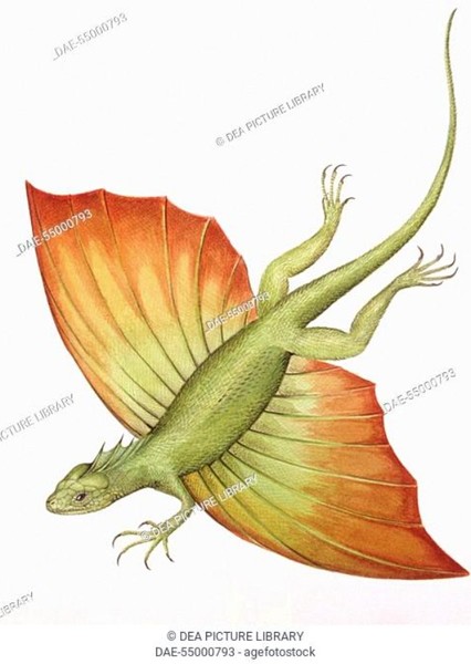 Creature Voice Effects photo