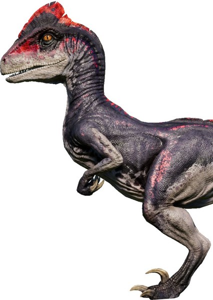 Creature Voice Effects