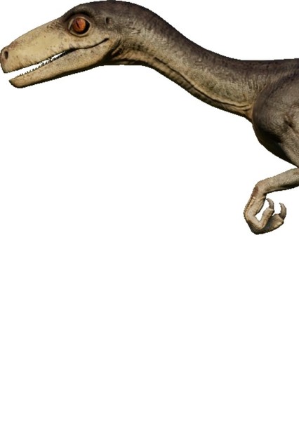 Creature Voice Effects photo