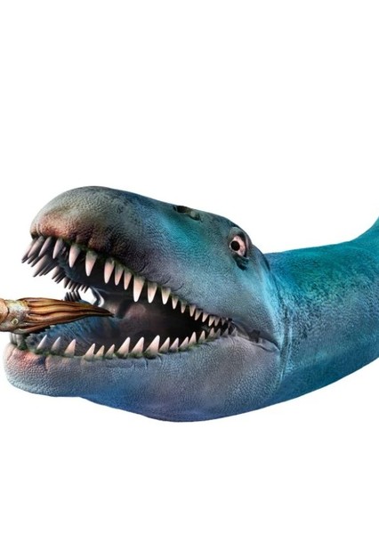 Creature Voice Effects