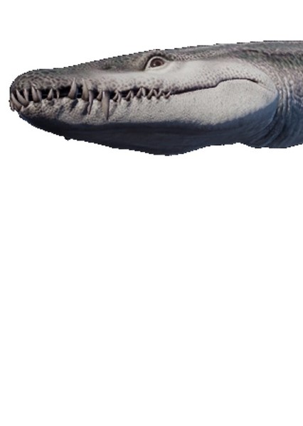 Creature Voice Effects