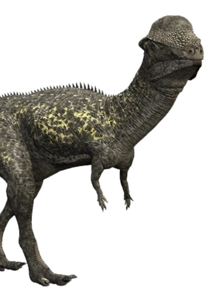 Creature Voice Effects